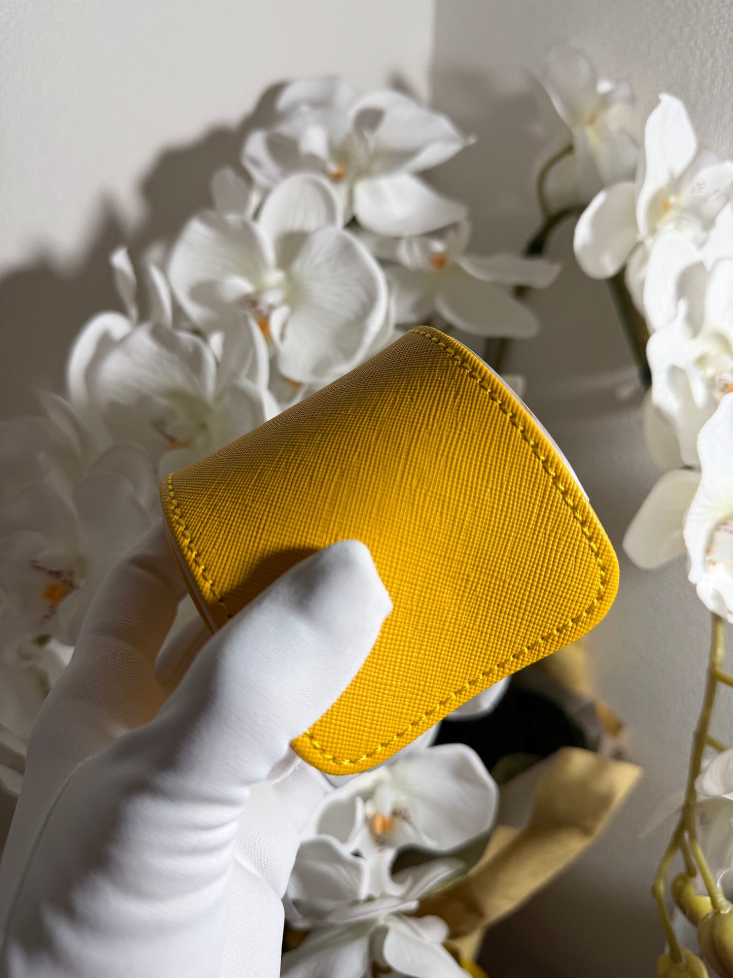 WOLF tutti frutti　ウォッチケース