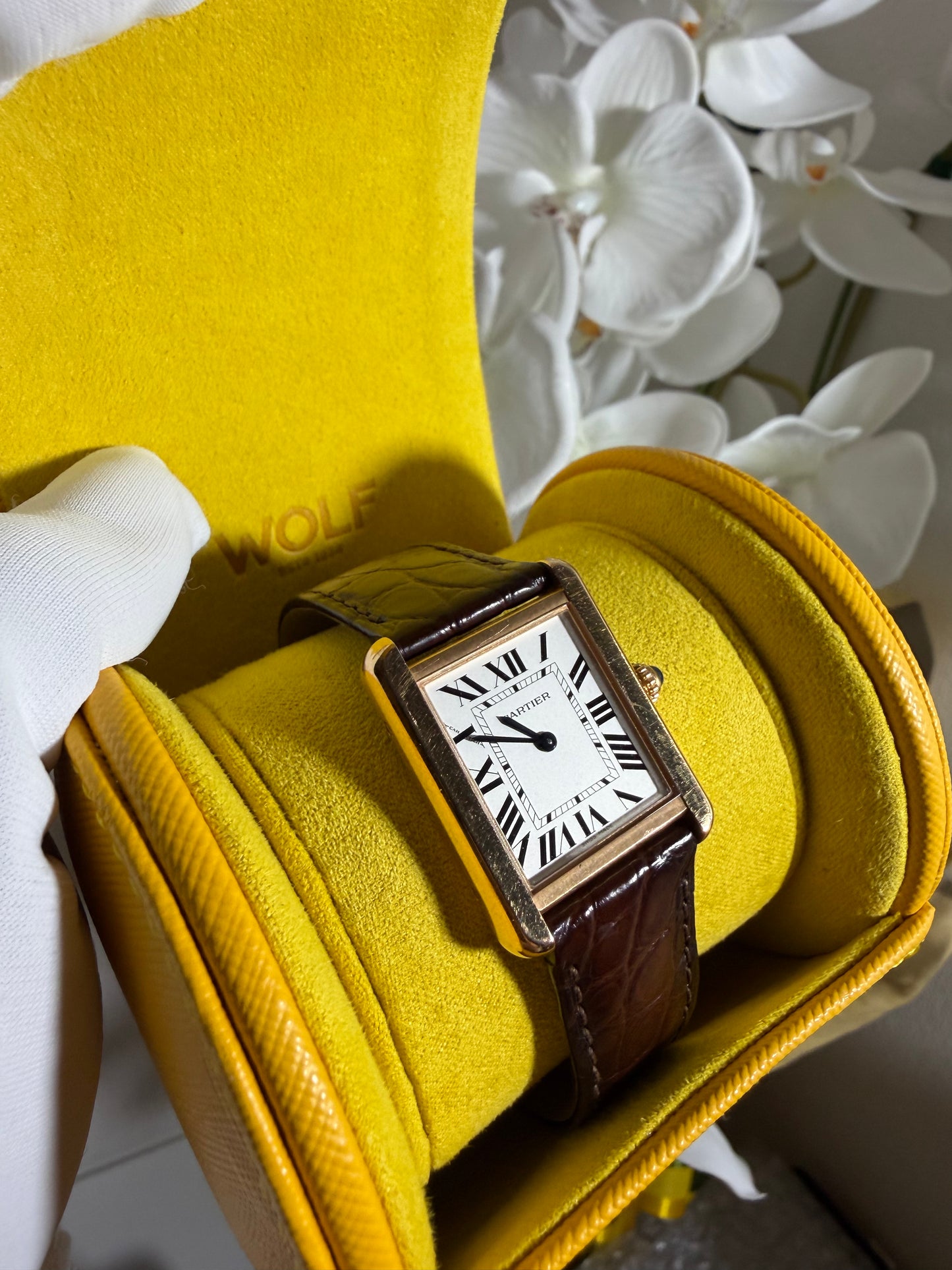 WOLF tutti frutti　ウォッチケース