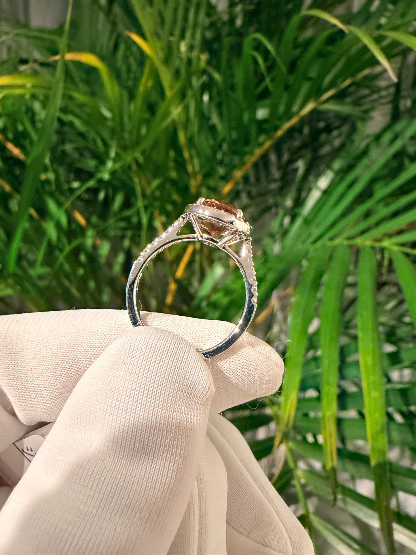 03. PT ジルコン ヘイローリング