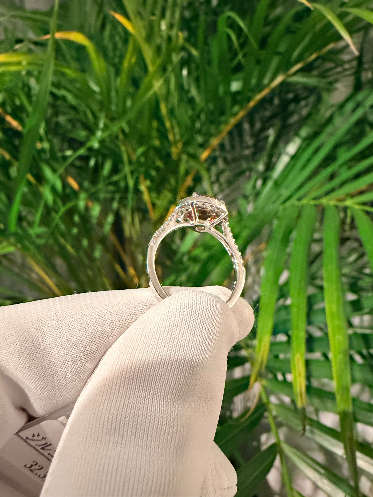 03. PT ジルコン ヘイローリング