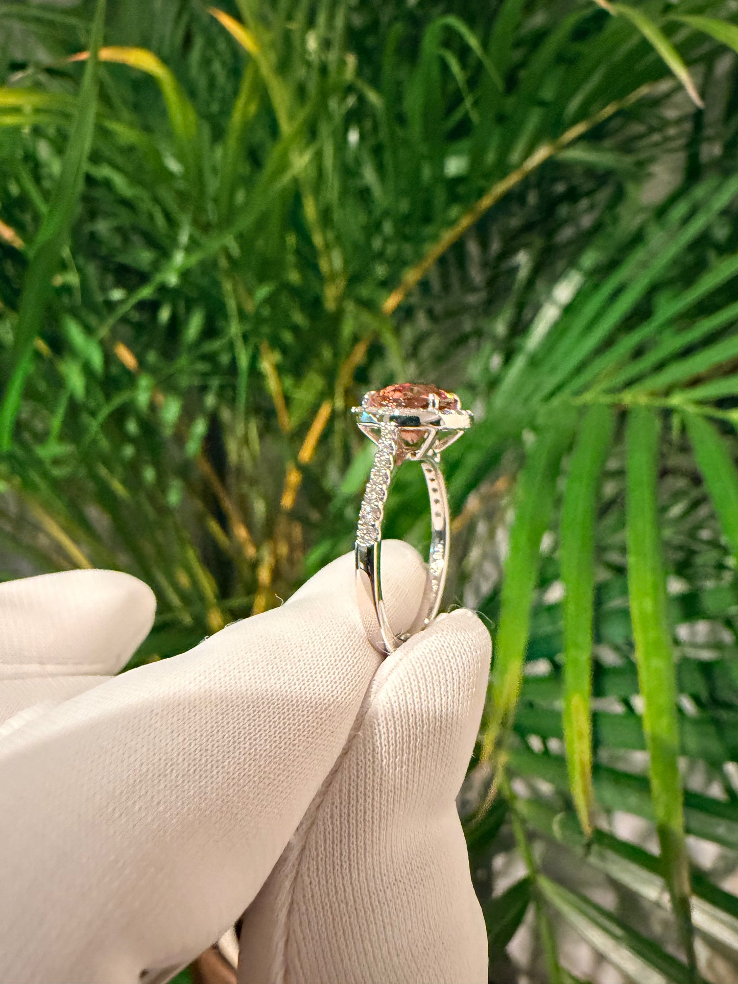 03. PT ジルコン ヘイローリング