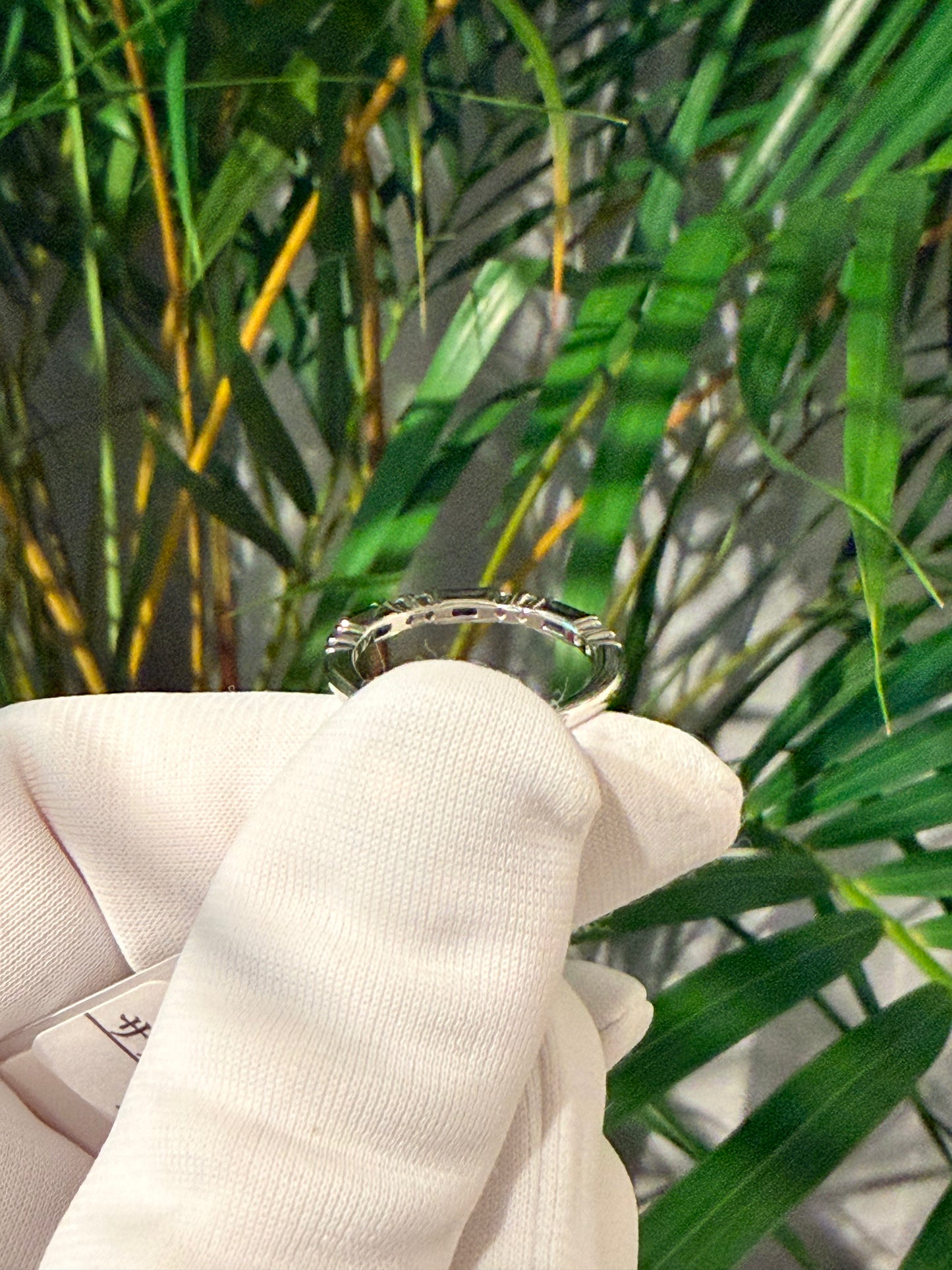 13. サファイアリング Classico