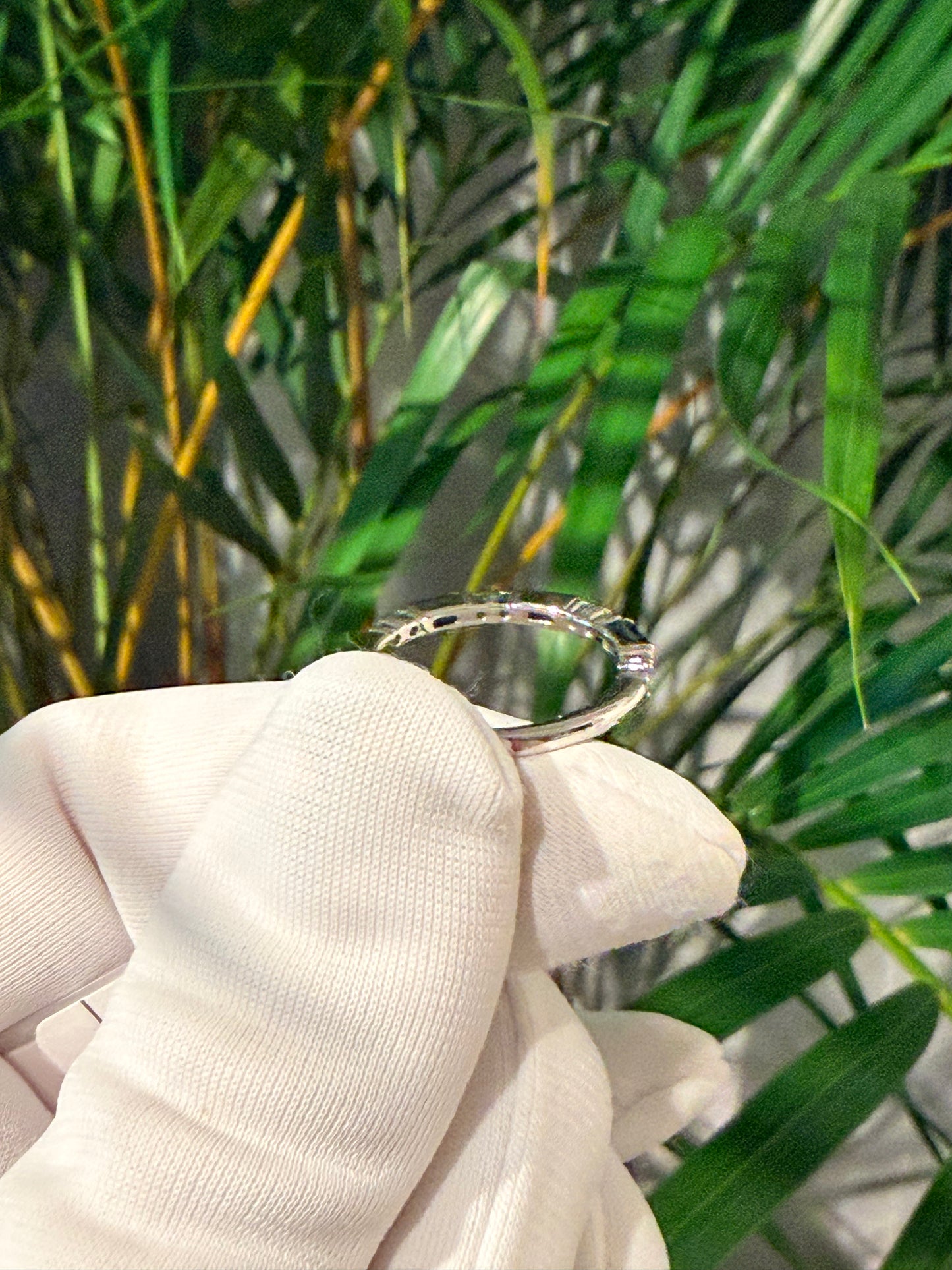 13. サファイアリング Classico