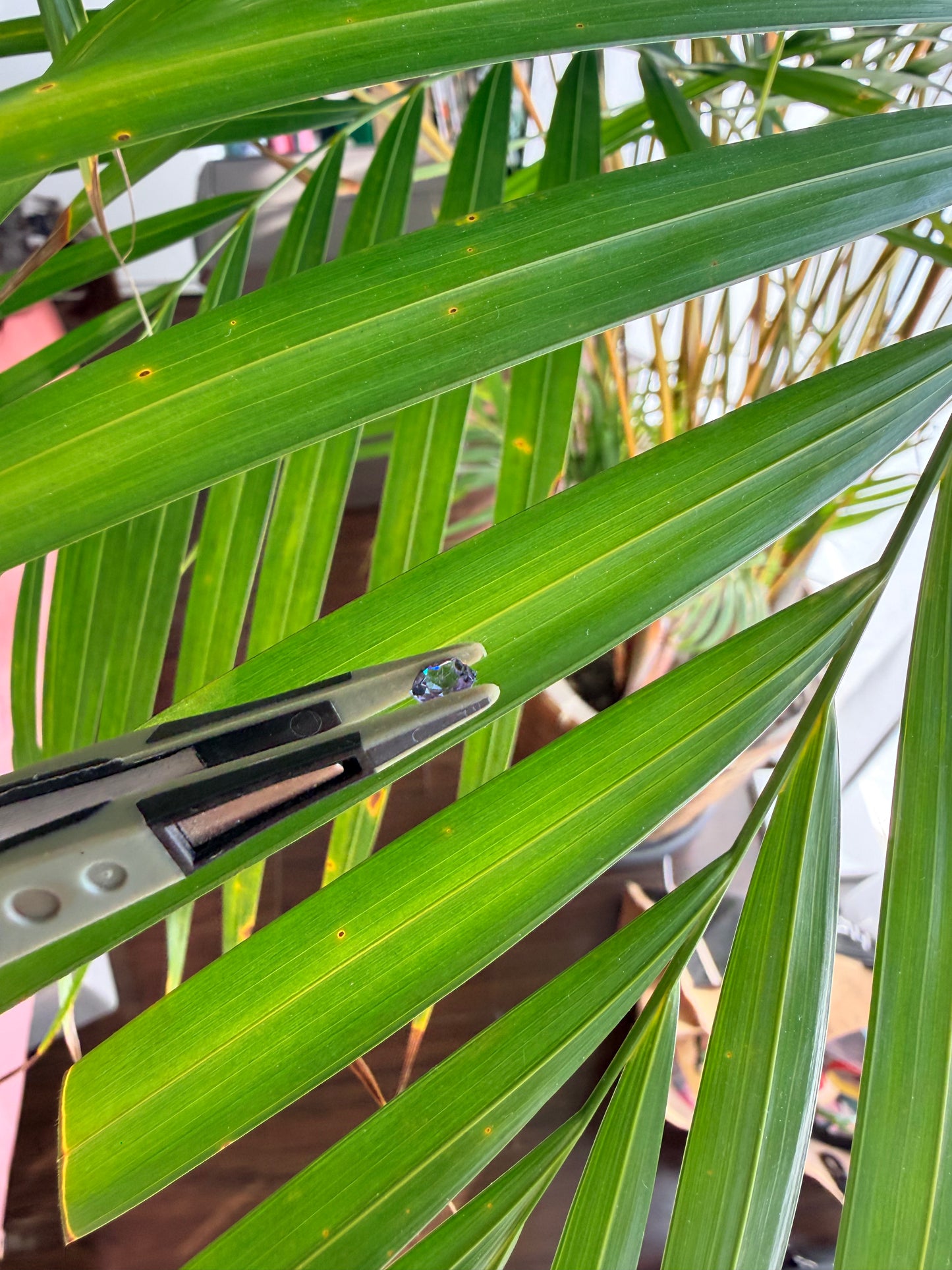 【ヘキサゴンカット③】天然　スピネル　約0.435ct