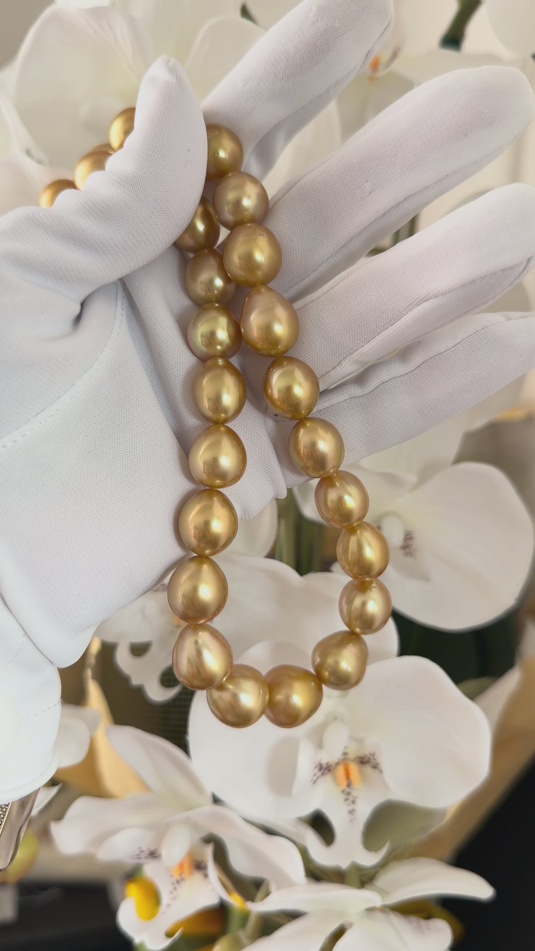 真珠標本 50周年記念 南洋ゴールデン ムーンレインボー 真珠科学研究所・真珠鑑別鑑定書付き